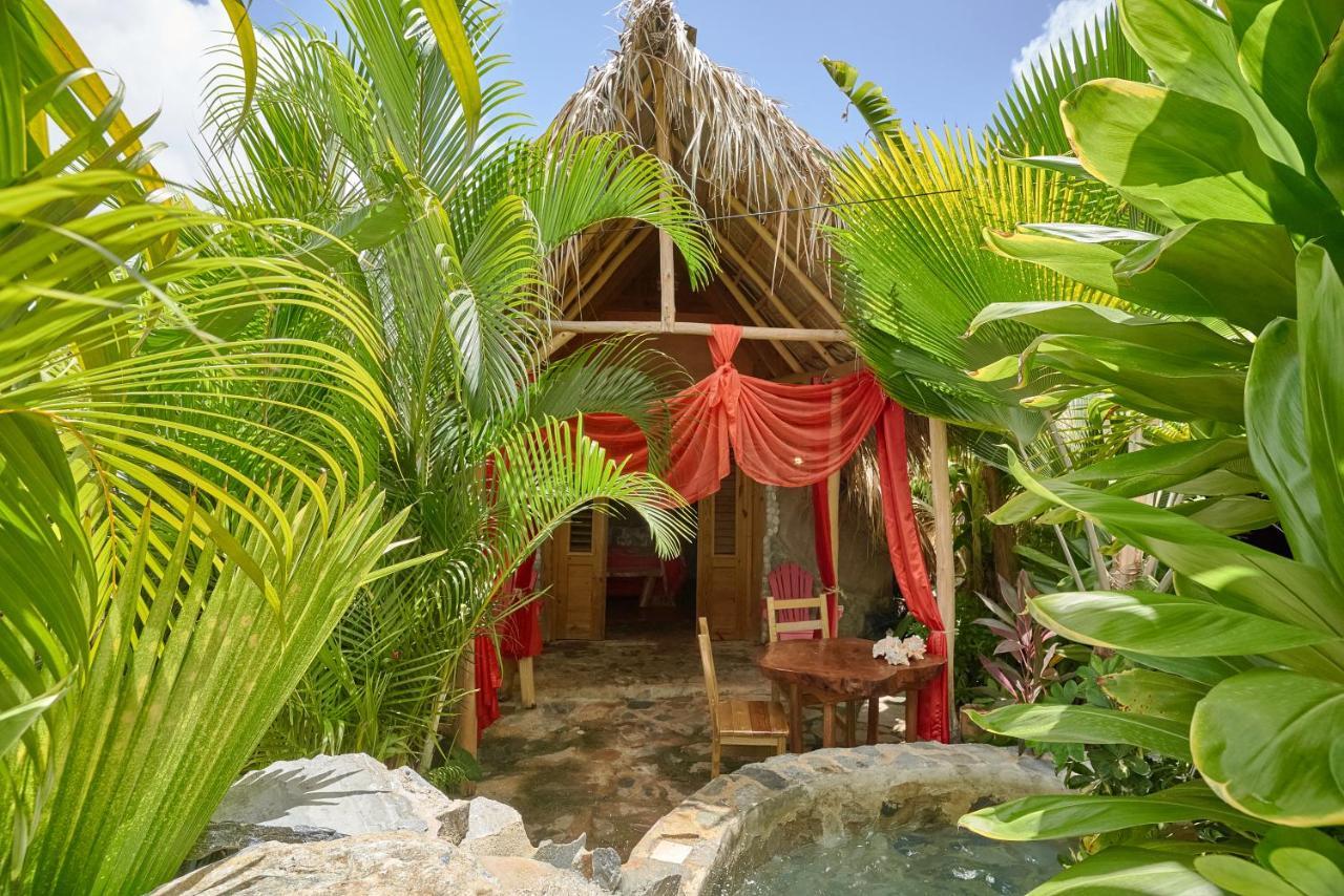 CHALET TROPICAL bio-hotel Las Galeras Extérieur photo