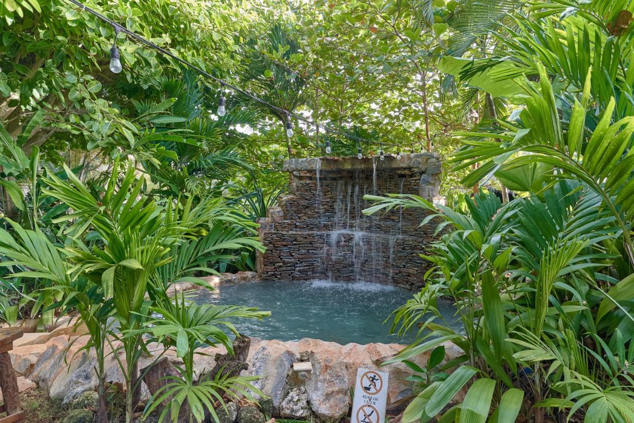 CHALET TROPICAL bio-hotel Las Galeras Extérieur photo