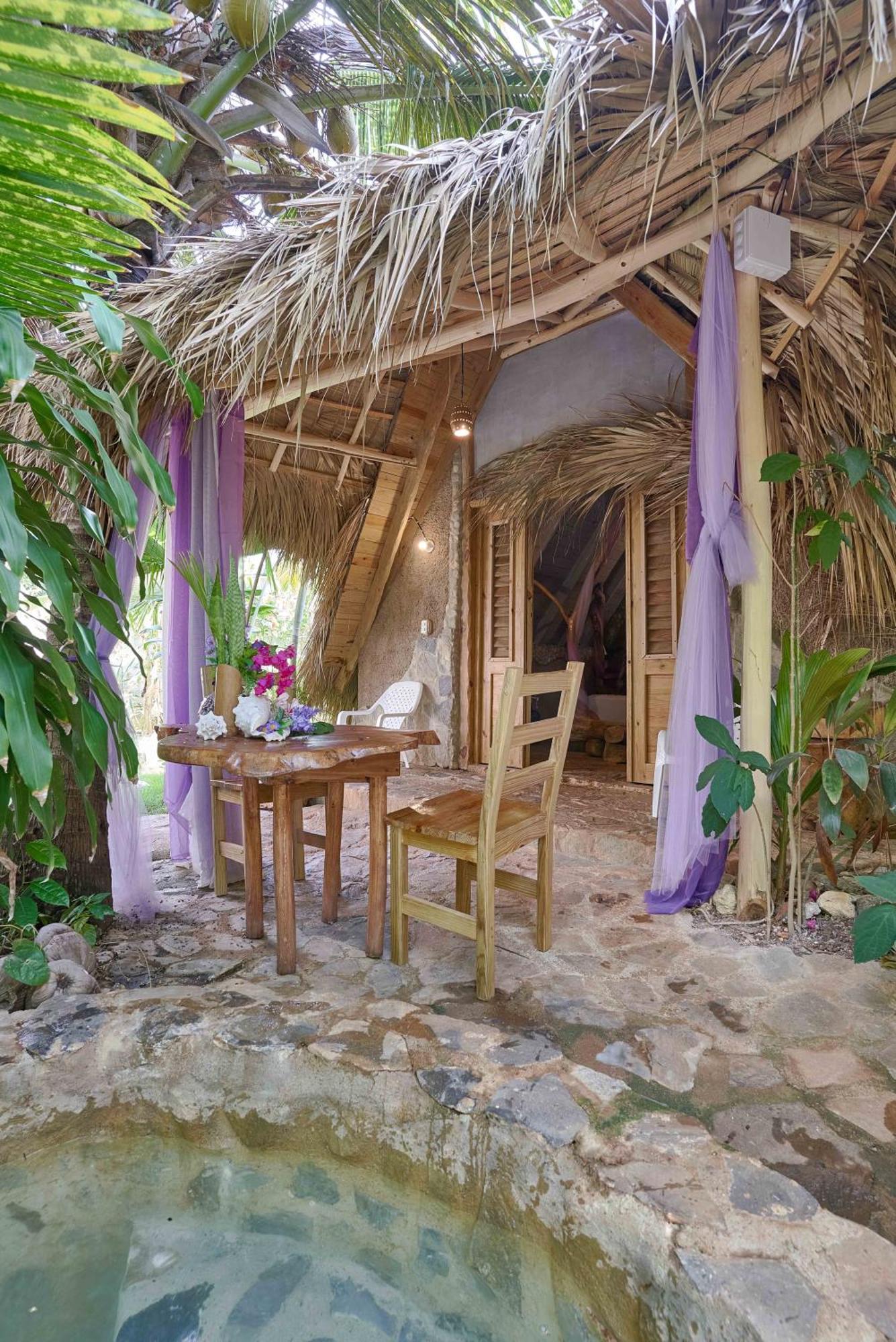 CHALET TROPICAL bio-hotel Las Galeras Extérieur photo