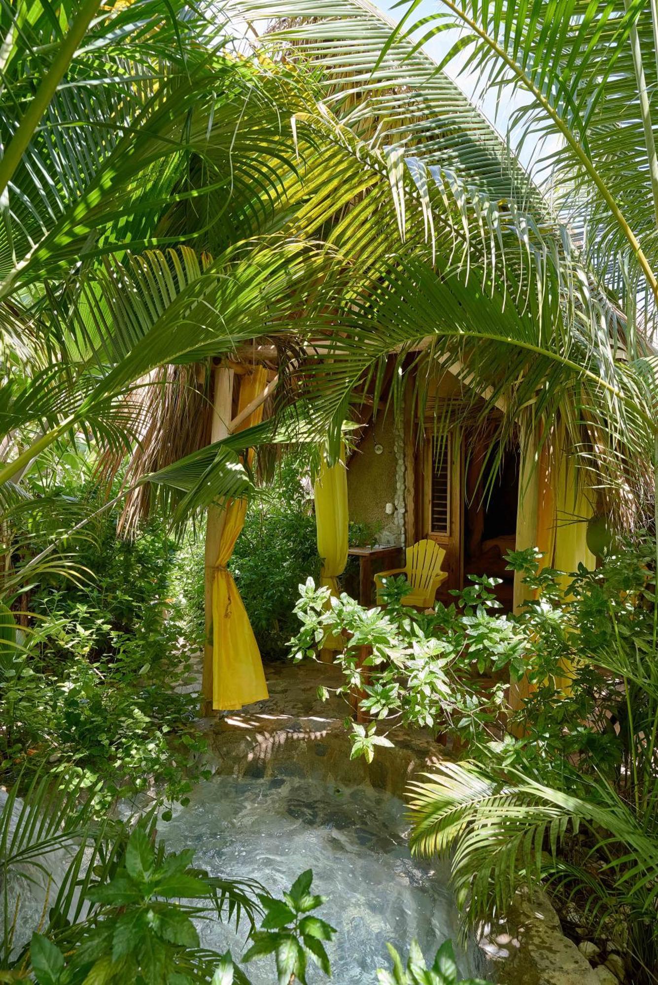 CHALET TROPICAL bio-hotel Las Galeras Extérieur photo
