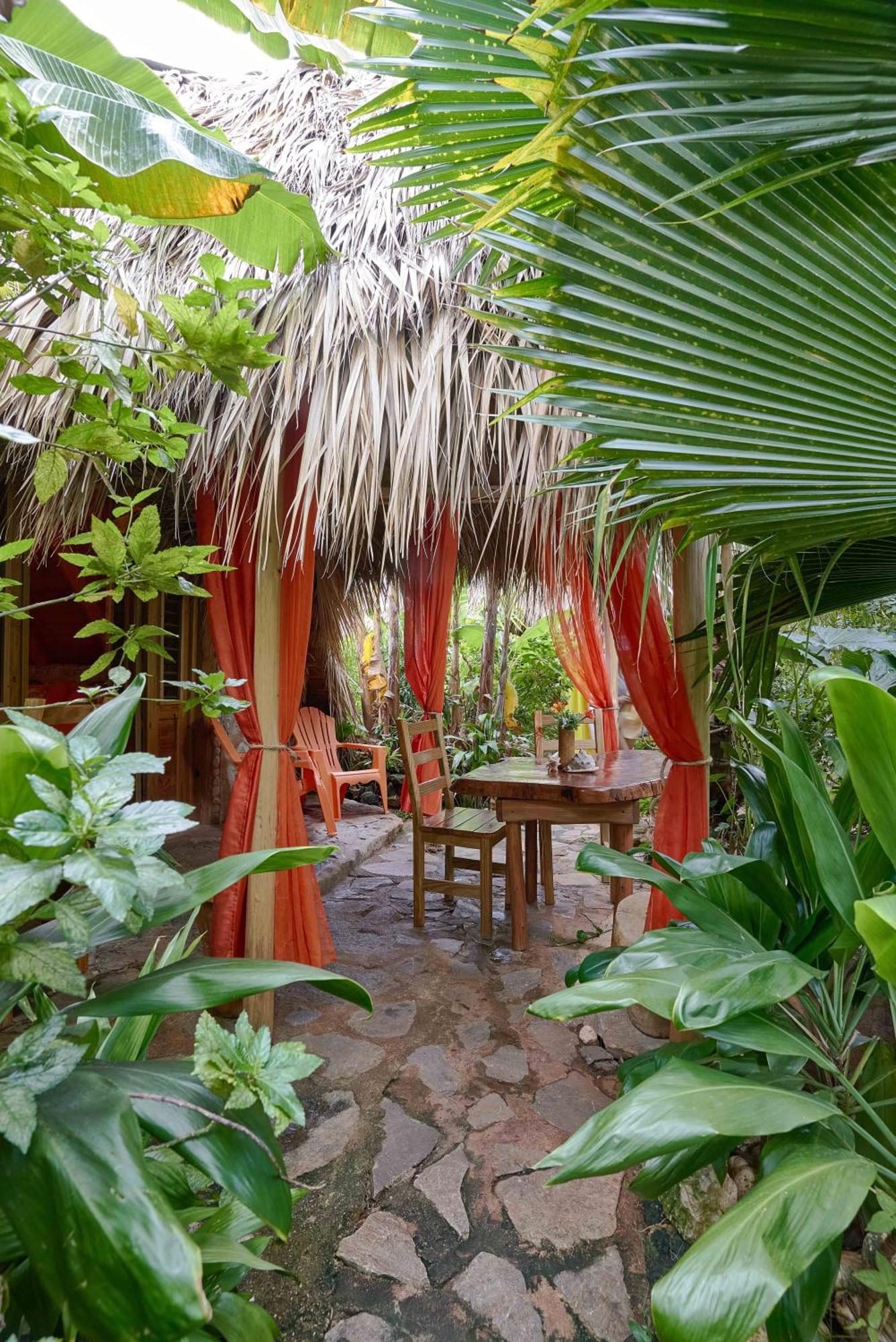 CHALET TROPICAL bio-hotel Las Galeras Extérieur photo