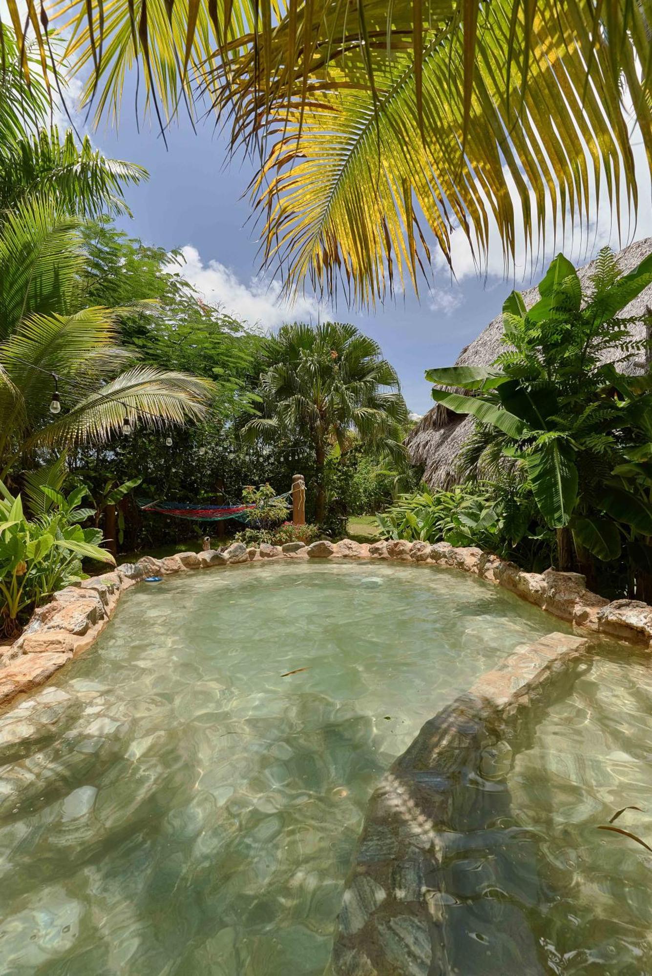 CHALET TROPICAL bio-hotel Las Galeras Extérieur photo