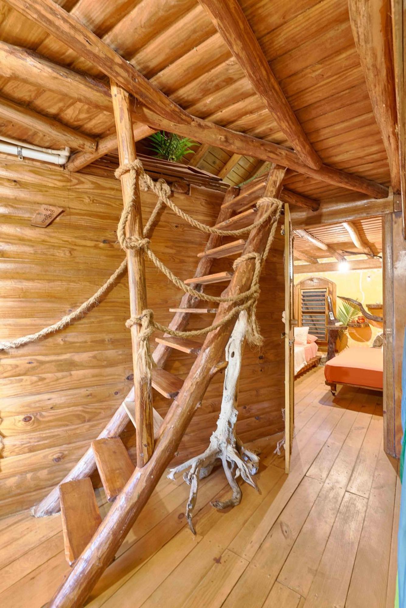 CHALET TROPICAL bio-hotel Las Galeras Extérieur photo