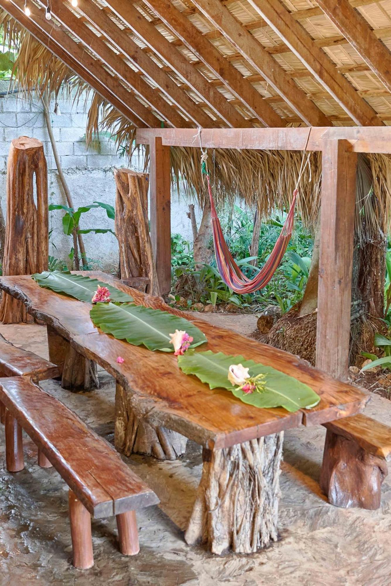 CHALET TROPICAL bio-hotel Las Galeras Extérieur photo