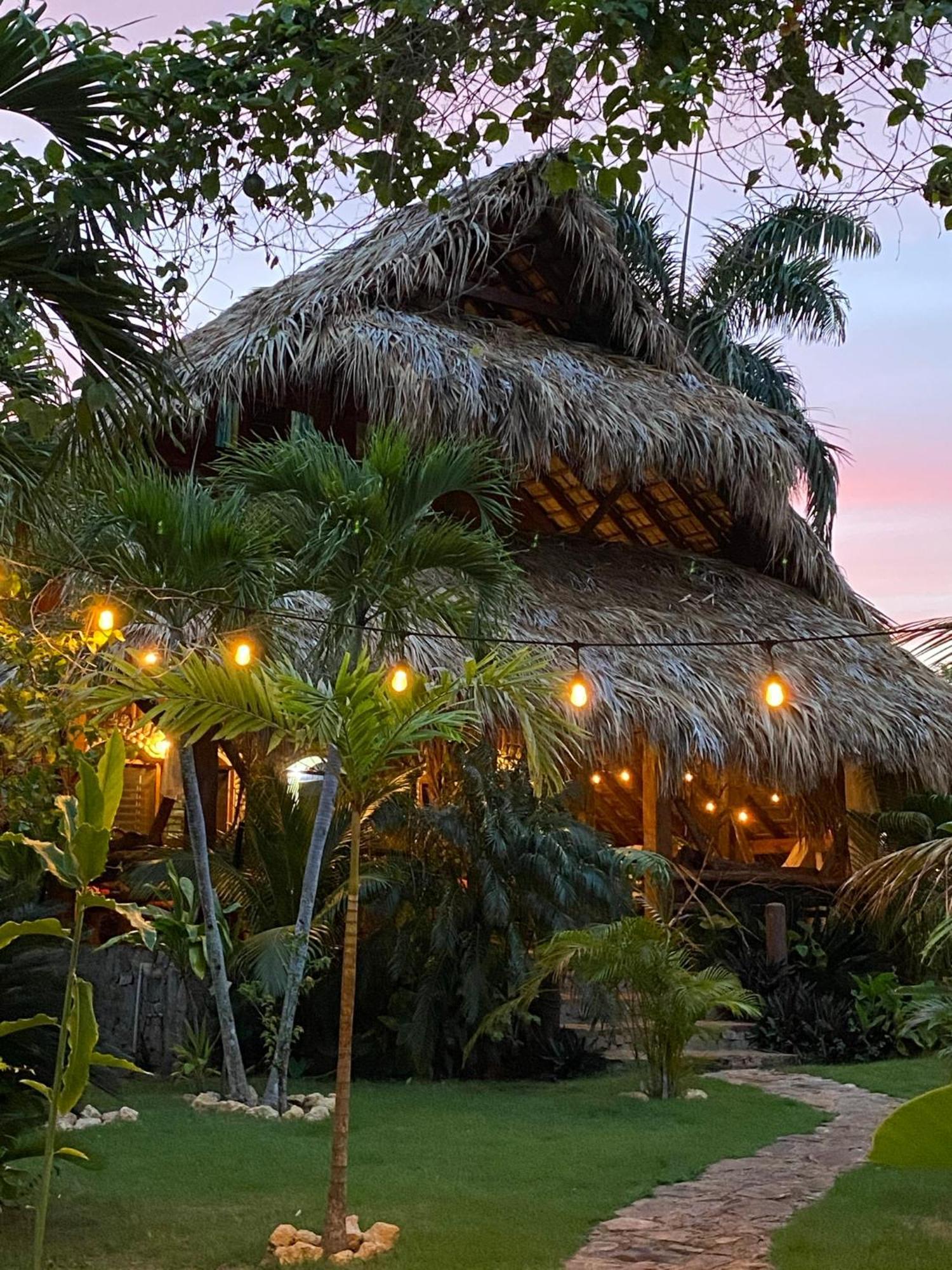 CHALET TROPICAL bio-hotel Las Galeras Extérieur photo