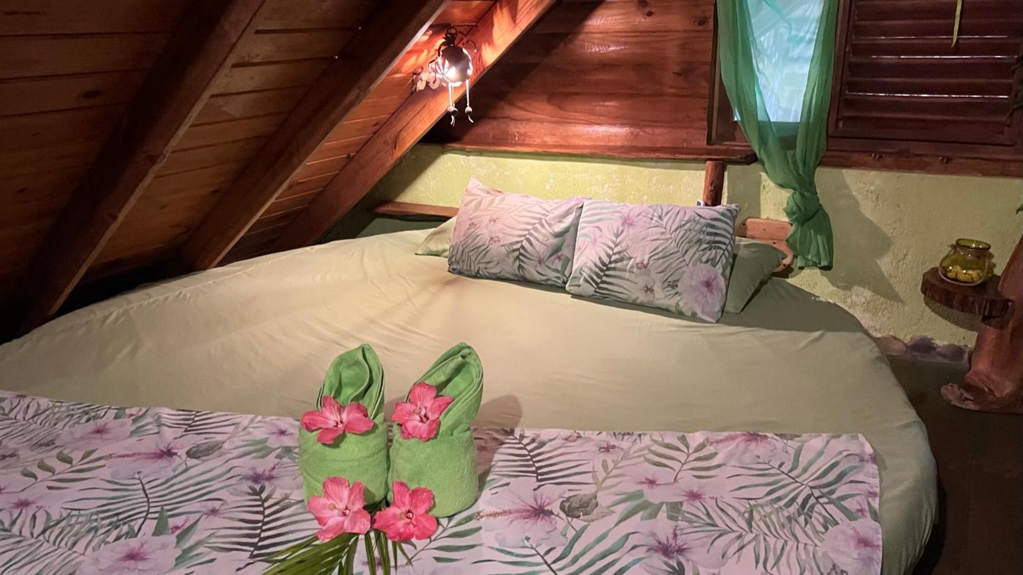CHALET TROPICAL bio-hotel Las Galeras Extérieur photo